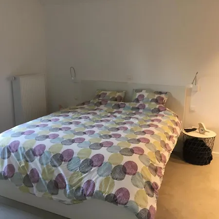 Le Temps D'une Balade.